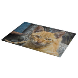 黄金の目 カッティングボード