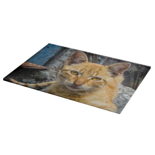 黄金の目 カッティングボード (角)