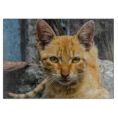 黄金の目 カッティングボード (正面)