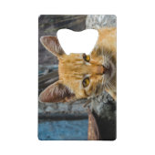 黄金の目 クレジットカード栓抜き (正面)