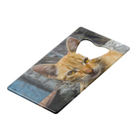 黄金の目 クレジットカード栓抜き