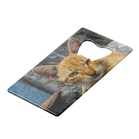 黄金の目 クレジットカード栓抜き (正面アングル)