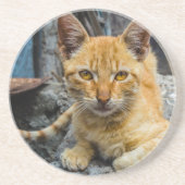 黄金の目 コースター (正面)