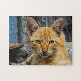 黄金の目 ジグソーパズル