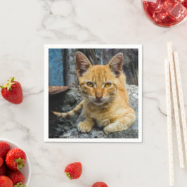 黄金の目 スタンダードカクテルナプキン