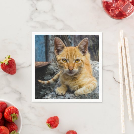 黄金の目 スタンダードカクテルナプキン (インサイチュ)