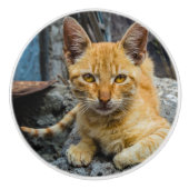 黄金の目 セラミックノブ (正面)