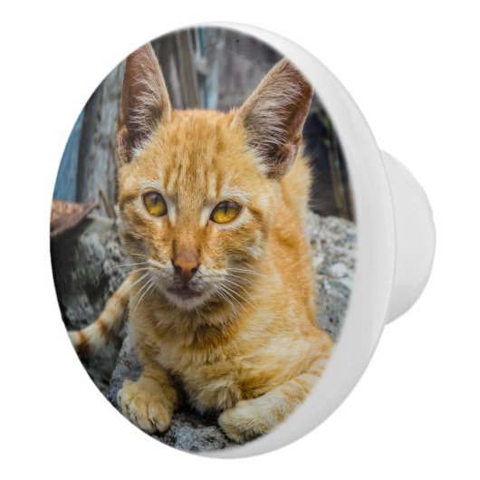 黄金の目 セラミックノブ (右)