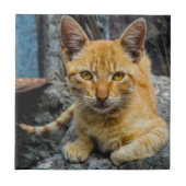 黄金の目 タイル (正面)