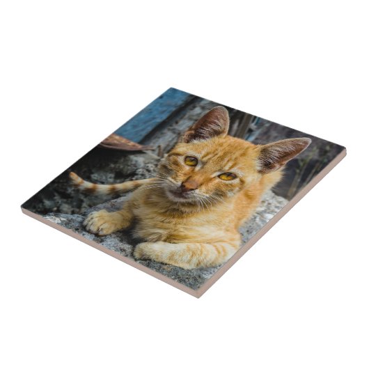 黄金の目 タイル (側面)