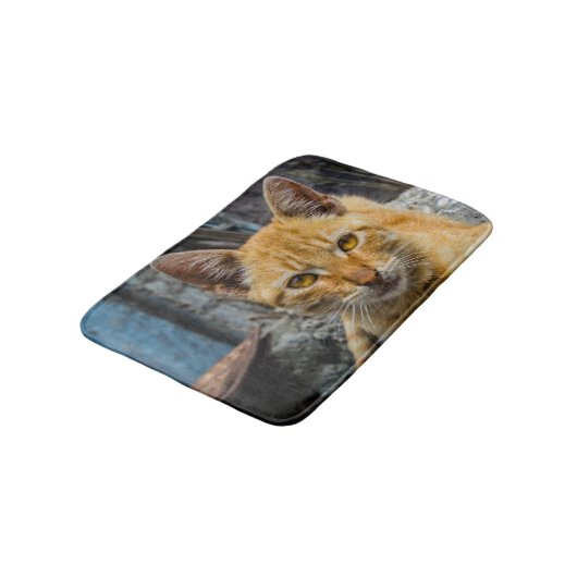 黄金の目 バスマット (アングル)