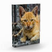 黄金の目 フォトブロック (左)