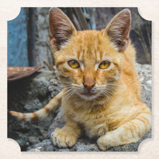 黄金の目 ペーパーコースター (正面)