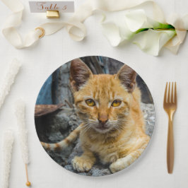 黄金の目 ペーパープレート