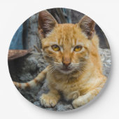 黄金の目 ペーパープレート (正面)