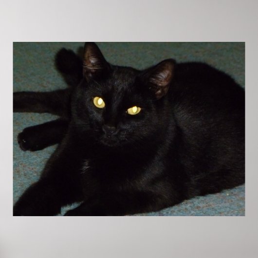 黄金の目 ポスター (正面)