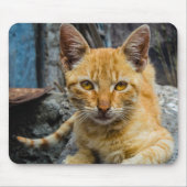 黄金の目 マウスパッド (正面)