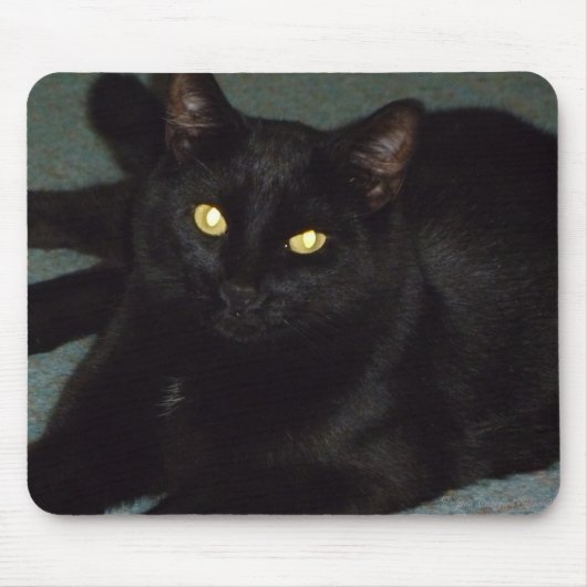 黄金の目 マウスパッド (正面)