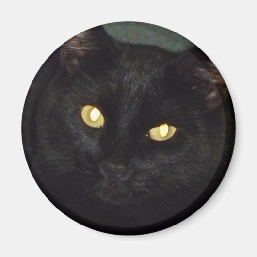 黄金の目 マグネット (正面)