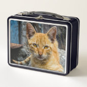 黄金の目 メタルランチボックス (正面)