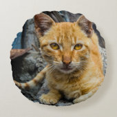 黄金の目 ラウンドクッション (正面)