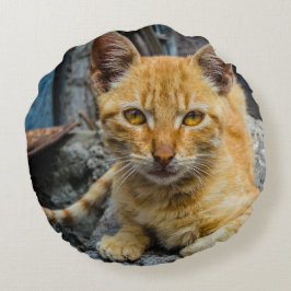 黄金の目 ラウンドクッション