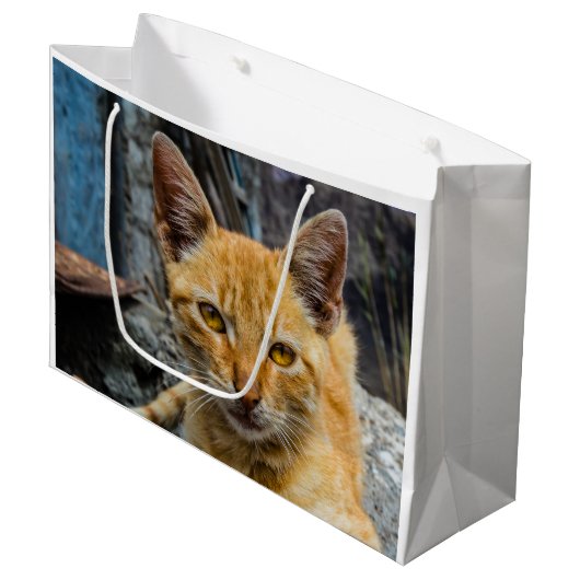 黄金の目 ラージペーパーバッグ (正面アングル)