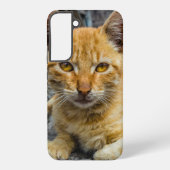 黄金の目 SAMSUNG GALAXYケース (裏面)