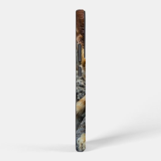 黄金の目 SAMSUNG GALAXYケース (右側面)