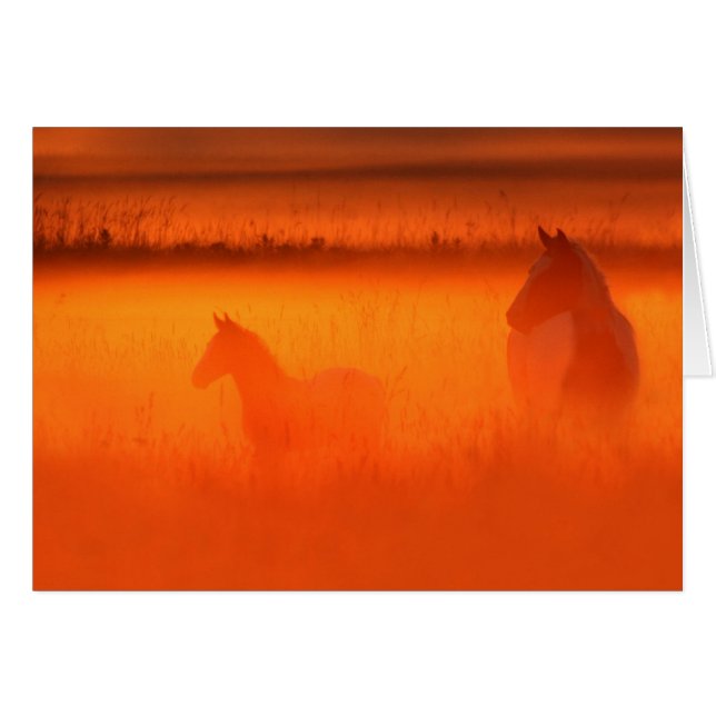 黄金の瞬間 (正面横)