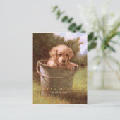 黄金の瞬間 ポストカード (スタンド正面)