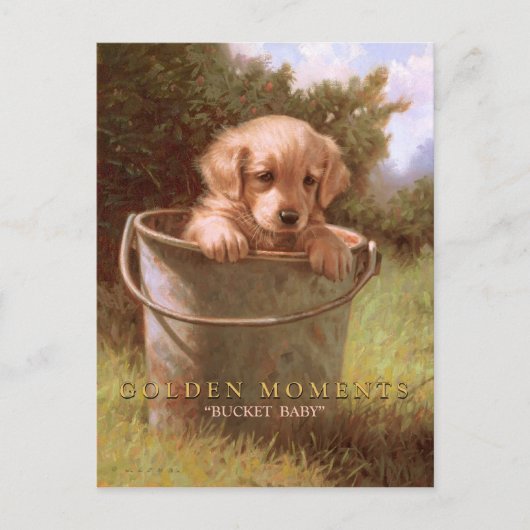 黄金の瞬間 ポストカード (正面)