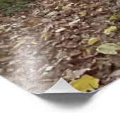 黄金の秋の森の小道 フォトプリント (角)
