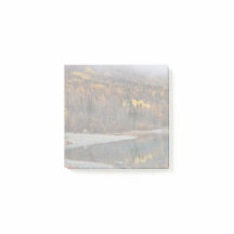 黄金の秋の森の風景