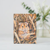 黄金の穀物の中の野原ハムスター ポストカード (スタンド正面)