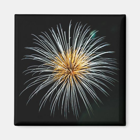 黄金の花火 マグネット (正面)