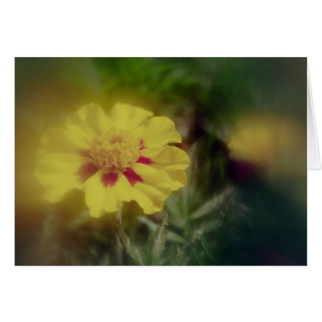 黄金の花 (正面横)