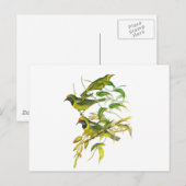 黄金の葉の鳥 ポストカード (正面/裏面)