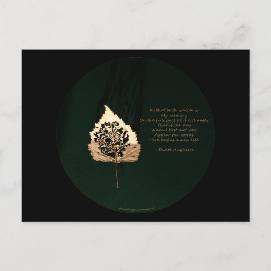 黄金の葉 ポストカード (正面)