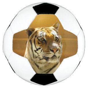 黄金の虎 サッカーボール