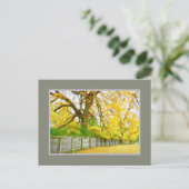 黄金の輝き/木と葉葉書 ポストカード (スタンド正面)