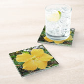 「黄金の輝き：木の上に黄色のハイビスカスの花 ガラスコースター (アングル)
