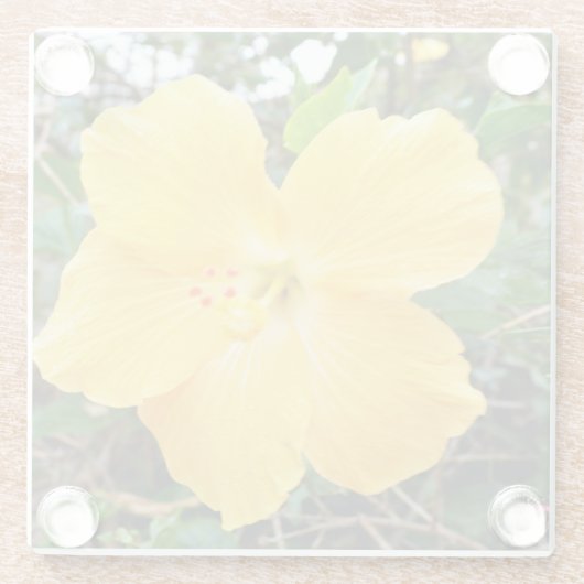 「黄金の輝き：木の上に黄色のハイビスカスの花 ガラスコースター (裏面)