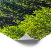 黄金の門にある岩の山と森林 ポスター (角)