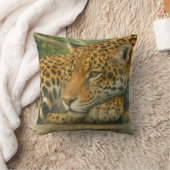 黄金の静寂 – 葉にユキヒョウ クッション (ブランケット)