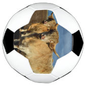 黄金の高地 – 子牛の恵み サッカーボール (回転)