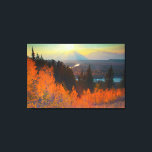 黄金の《植物》アスペンサンセットでスネーク川の上 キャンバスプリント<br><div class="desc">Larry Ditto / DanitaDelimont.com USA,  North America,  Wyoming</div>