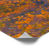 黄金の《植物》アスペンサンセットでスネーク川の上 ポスター (角)