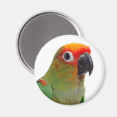 黄金をかぶった修道院 マグネット (正面/裏面)