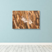 黄金エレガントの牧草地の草の白い羽 キャンバスプリント (インサイチュ (ウッドフロア))